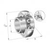 Rodamiento de soporte GYE45-KRR-B-NKE