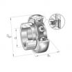 Rodamiento de soporte GRA100-NPP-B-AS2-V-INA