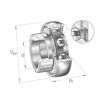 Rodamiento de soporte GRAE40-NPP-B-FA125.5-INA