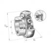 Rodamiento de soporte RA108-NPP-B-INA