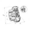 Rodamiento de soporte GRAE45-NPP-B-NKE