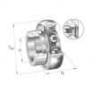 Rodamiento de soporte RALE20-NPP-B-NKE
