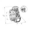 Rodamiento de soporte AY25-NPP-B-INA