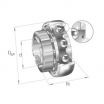 Rodamiento de soporte GSH30-2RSR-B-INA