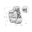 Rodamiento de soporte RAE30-NPP-NKE