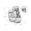 Rodamiento de soporte RALE20-NPP-FA106-INA