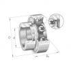Rodamiento de soporte RALE25-NPP-NKE