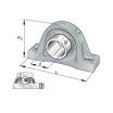 Unidad de rodamiento RASEY30-NKE