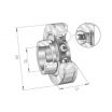 Rodamiento de soporte PE40-INA