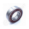 Rodamiento de bolas 60/22-DDU-C3-NSK
