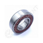 Rodamiento de bolas 6003-DDU-NSK