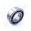 Rodamiento de bolas 6003-NSK