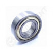 Rodamiento de bolas 6003-ZZ-NSK