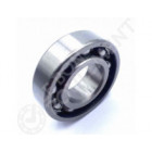 Rodamiento de bolas 6004-NSK