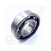 Rodamiento de bolas 6004-NSK