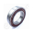 Rodamiento de bolas 6008-DDU-NSK