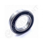 Rodamiento de bolas 6009-DDU-NSK