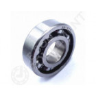 Rodamiento de bolas 6203-C3-NSK