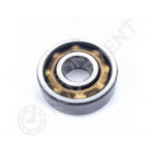 Rodamiento magneto E10