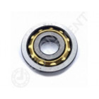Rodamiento magneto E11