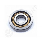 Rodamiento magneto E12