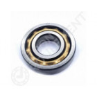 Rodamiento magneto E15