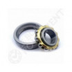 Rodamiento magneto E17