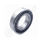 Rodamiento de bolas 6006-2RS-C3