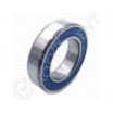 Rodamiento de bolas 6006-32-2RS-C3