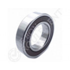 Rodamiento de bolas 6007-2RS-C3