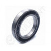 Rodamiento de bolas 6020-2RS