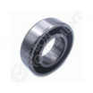 Rodamiento de bolas 60/22-2RS