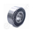 Rodamiento de bolas 62203-2RS