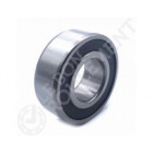 Rodamiento de bolas 62205-2RS