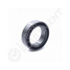 Rodamiento de bolas 6700-2RS