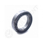 Rodamiento de bolas 6702-2RS