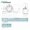Unidad de rodamiento UELP310-D1-W3-NTN