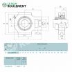 Unidad de rodamiento UELT208-D1-NTN