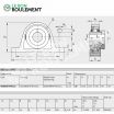 Unidad de rodamiento (acero inoxidable) RASE30-N-FA125-INA