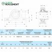 Unidad de rodamiento RASEY20-NKE