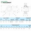 Unidad de rodamiento RASEY25-NKE