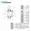 Rodamiento de soporte GE35-KTT-B-INA
