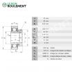 Rodamiento de soporte RAE40-NPP-FA106-INA