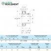 Rodamiento de soporte GAY17-NPP-B-NKE