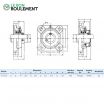 Unidad de rodamiento UCF201-INOX