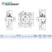 Unidad de rodamiento UCF204-INOX