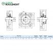 Unidad de rodamiento UCF205-INOX