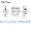 Unidad de rodamiento UCF207-INOX