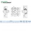 Unidad de rodamiento UCF210-INOX