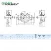 Unidad de rodamiento UCFL204-INOX